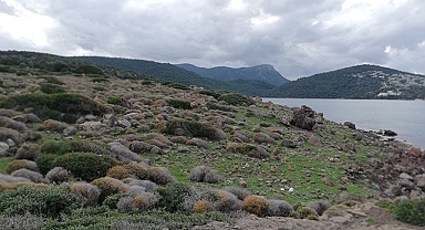 Cengiz İnşaat'tan Cennet Koyu açıklaması