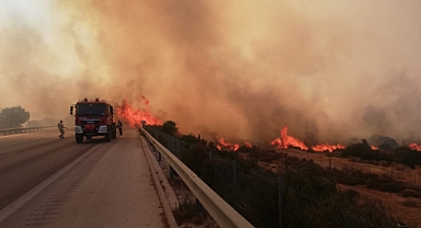 Turizm cenneti Çeşme'de orman yangını
