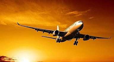 Uçaktaki yılan paniğe yol açtı