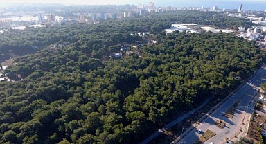 ''Hayalet orman''ın tahsis talebine ikinci ret