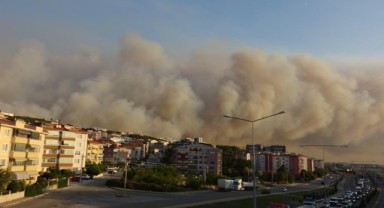 Çanakkale'de orman yangını evler tahliye tahliye edildi
