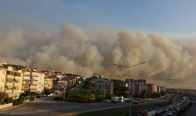 Çanakkale'de orman yangını evler tahliye tahliye edildi