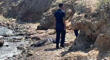 Datça'da sahilde ceset bulundu