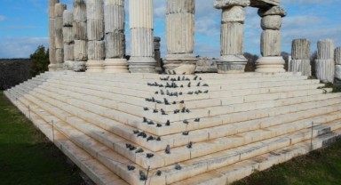 Apollon Smintheus Tapınağı'nda turistleri fareler karşılıyor