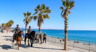 Turistlerin güvenliği Börü ve Winner'e emanet