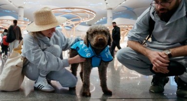 İGA 'Terapi Köpek Pojesi'ni hayata geçirdi