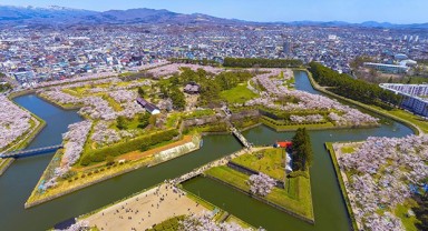 Japonya'ya giden ''Türk turist'' sayısı arttı