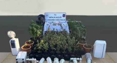 Turistlere esrar satarken yakalandı