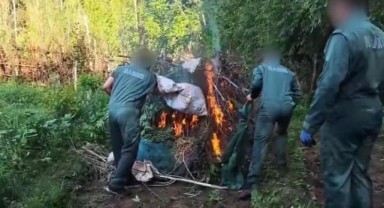 Hevsel Bahçeleri'ni uyuşturucu tarlasına çevirmişler!