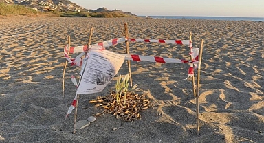 Kum zambaklarını koparmanın bedeli 557 bin TL