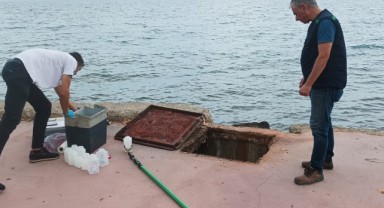 Yalova'da denizi kirleten 2 belediyeye ceza