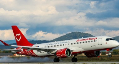 Animawings 5 şehirden İstanbul'a uçacak