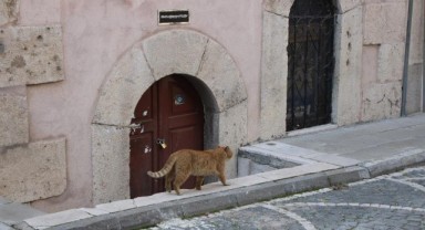 Amasya'da 9 türbeye 