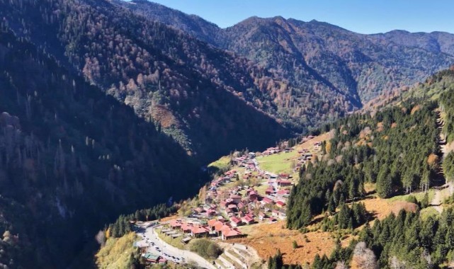 Dünyaca ünlü Ayder Yaylası'na teleferikle ulaşılacak