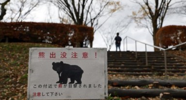 Turizm işletmelerine 