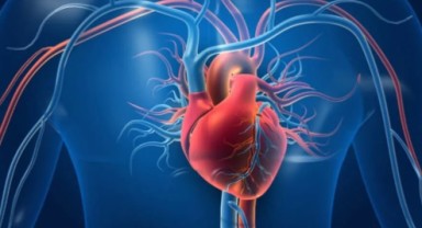 GKRY'de tatilde ölen İngiliz turistin kalbi çalındı