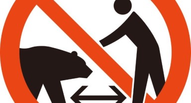 Japonya’dan turistlere ayı uyarısı