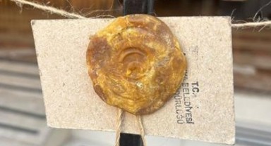 Muğla'da 363 turistik tesis kapatıldı