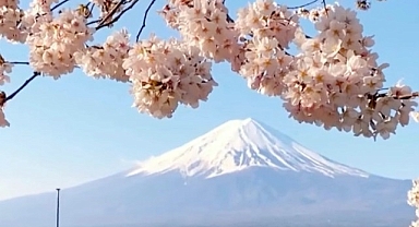 Aşırı turizm Japonya'da festivali iptal ettirdi