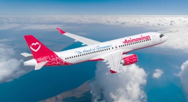 Animawings yaz sezonunda Antalya’ya uçacak