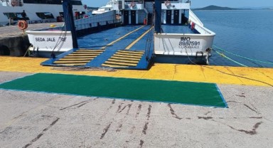 Midilli’den gelen turistlere şap hastalığı kontrolü