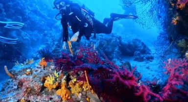 Ayvalık'ta dalış turizmi için beklenen izin geldi