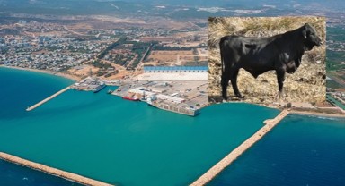 Turizme Angus darbesi!