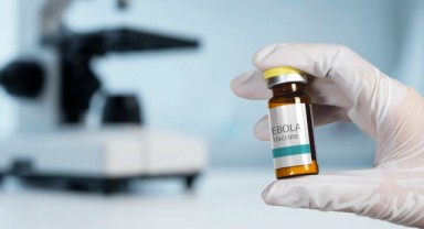 WTTC; Seyahat güvenli şekilde devam edebilir