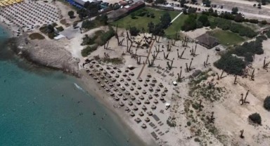Çeşme'de plajdan sofraya doğal tatil deneyimi